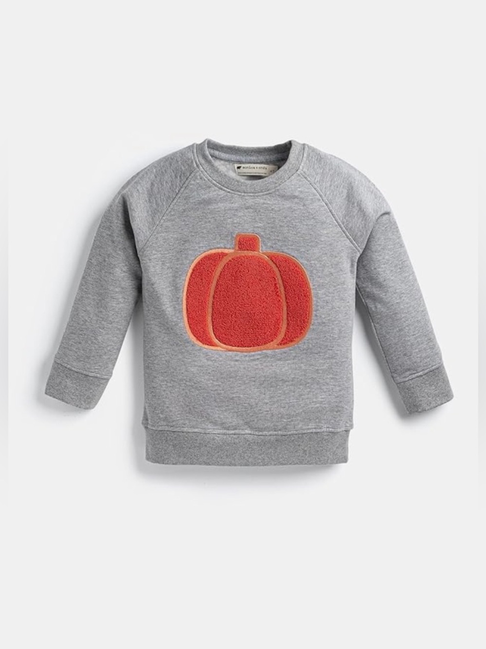 Monica & Andy Gender Neutral Embroidered Pumpkin Design Sweatshirt Size 3T NWT